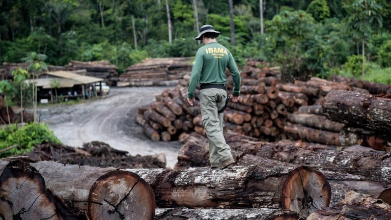 Agente do Ibama fiscaliza madeira apreendida na Amazônia